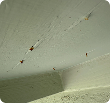 Roof Issue 2 - Roof Replacement | Roofing Craftsmen